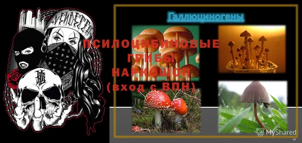 ГАЛЛЮЦИНОГЕННЫЕ ГРИБЫ Алзамай