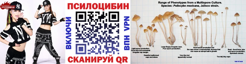 Псилоцибиновые грибы Magic Shrooms  даркнет сайт  Апшеронск 