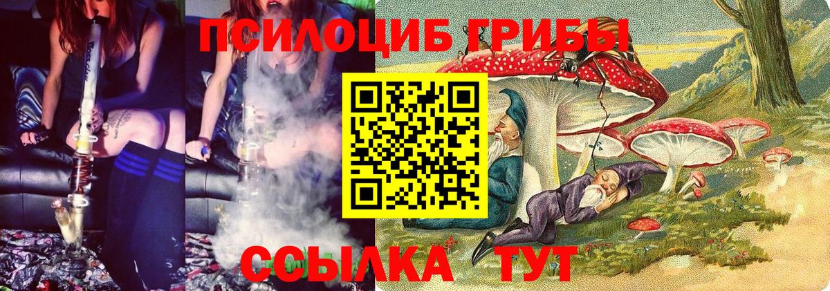 Псилоцибиновые грибы прущие грибы  магазин продажи наркотиков  Вход с VPN  Апшеронск  Псилоцибиновые грибы мицелий 